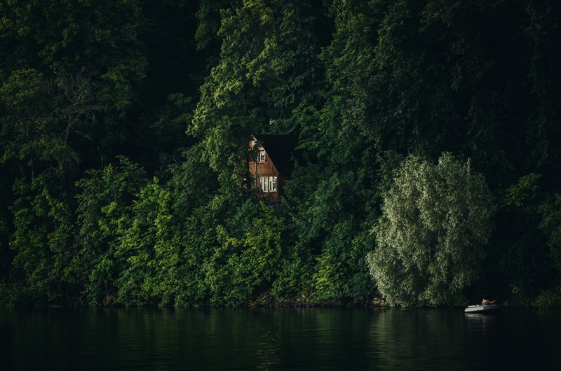 a cottage on a hill in a lakefront forest, _woods amp house 4k