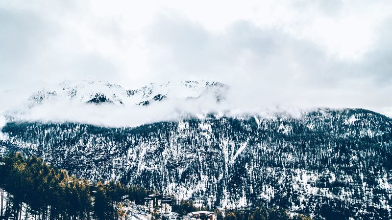 mountains, trees, fog, snow, 4k
