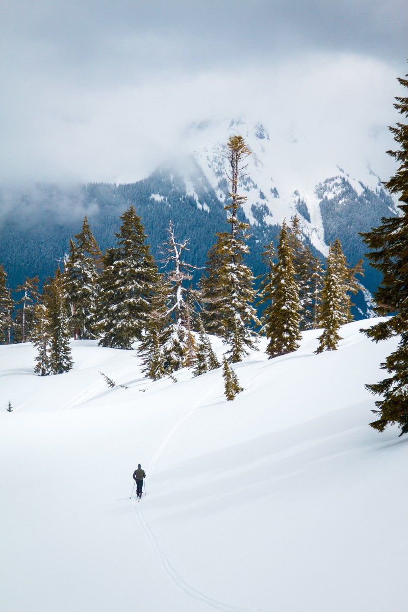 a skier on a snowy slope with sparse trees in the mountains, cross country skier at mt baker 4k