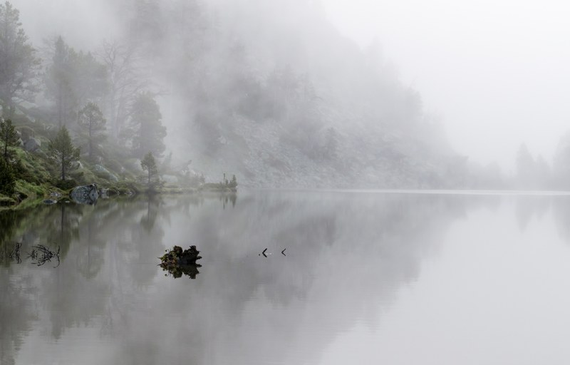 calm isolated lake near pine on a misty morning in pic de nouvielle, the silence of light 4k