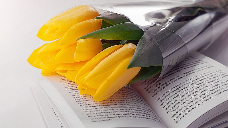 tulips, book, flowers, bouquet, 4k