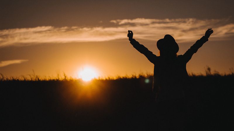 silhouette, night, sunset, freedom, 4k