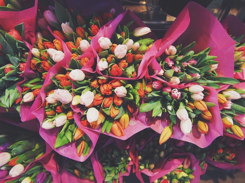 colorful bouquets of tulips with pretty petals in flower stand in spring bergen, tulip bouquets in pink paper 4k