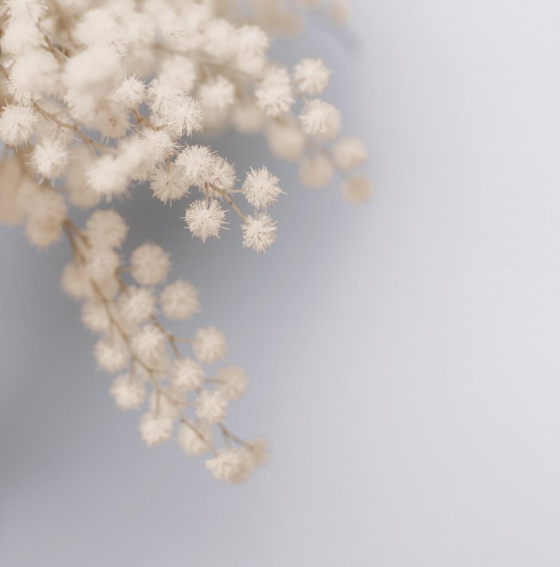 pale soft blue and white hd, 4k