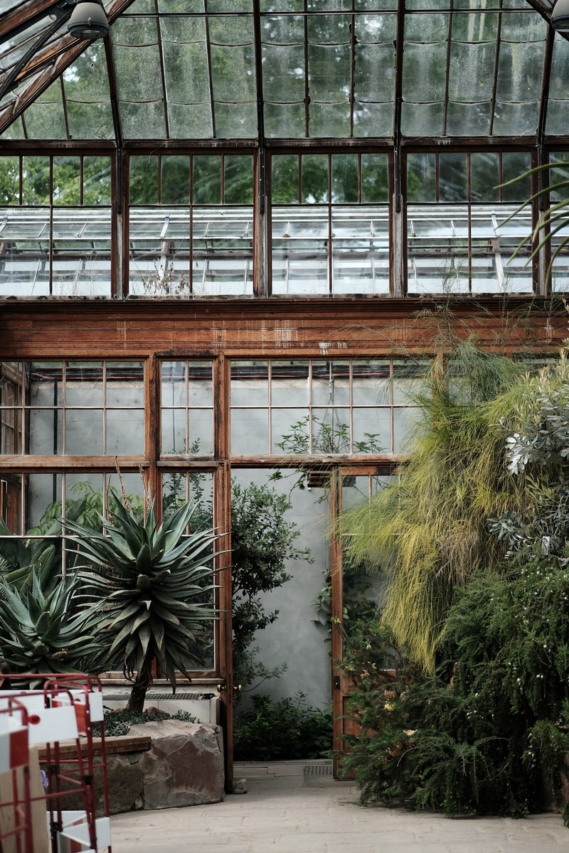 an inside look at a glass house garden in cambridge botanic garden hills road entrance, botanical garden in cambridge 4k