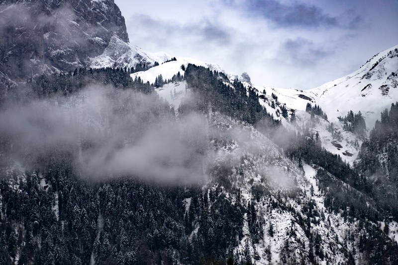a desaturated shot of steep tree lined mountain slopes near unteregg, tall wooded slope 4k