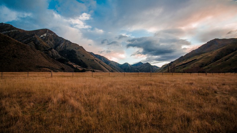 a golden grassland in the mountains under fluffy clouds, golden mountain grassland 4k