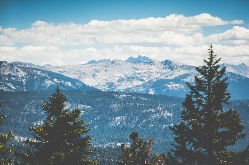 evergreen forests and snowy mountain tops fill into the horizon at sequoia national park on a bright day, vast mountain forest 4k