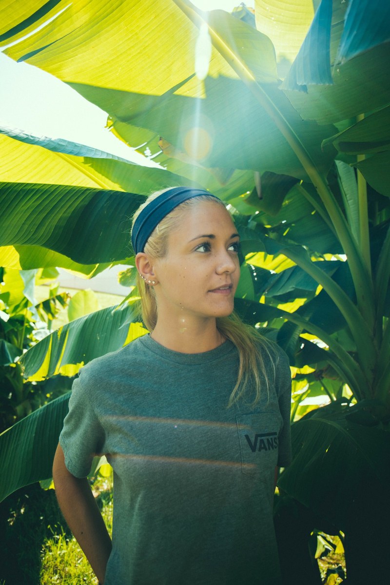 light rays and palm leaves 4k