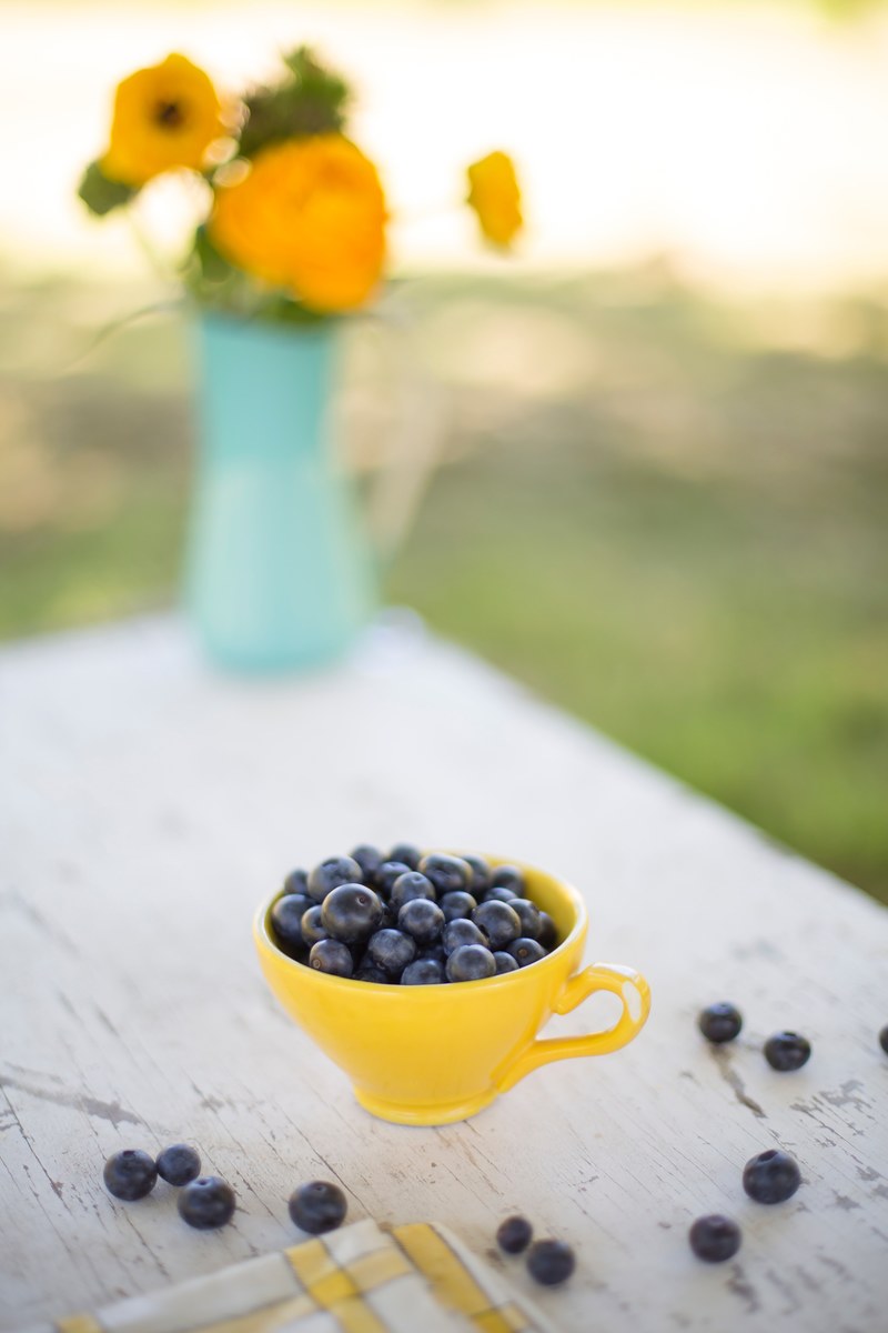yellow summer and blueberry hd, 4k