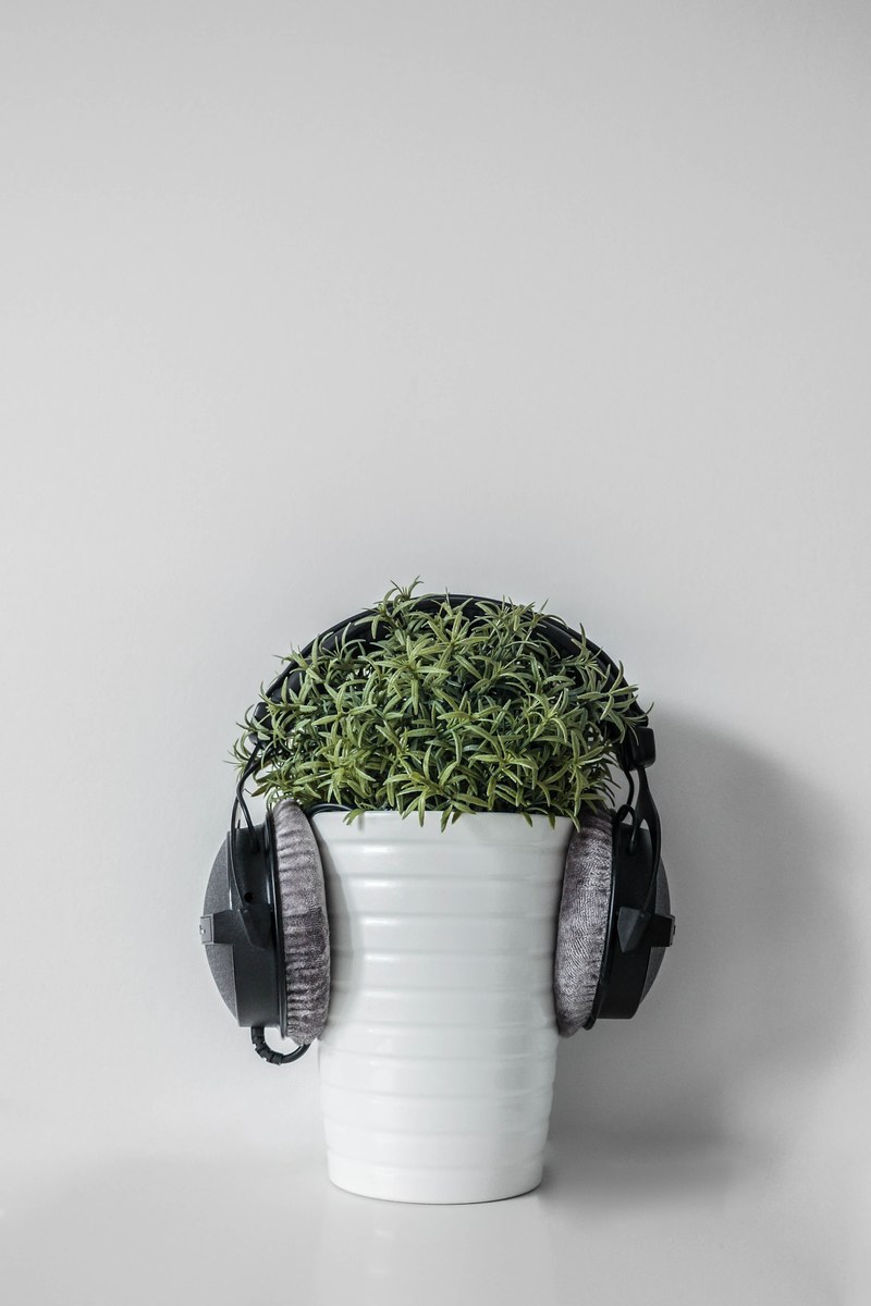 minimalism lonely loud and phone hd, 4k