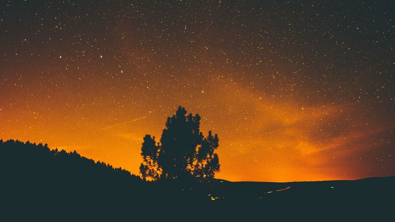 night, stars, sky, tree, 4k