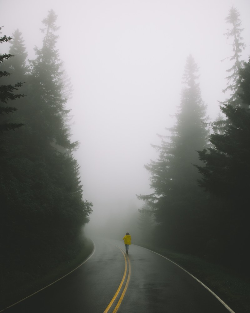 road mist fog and cloud hd, 4k