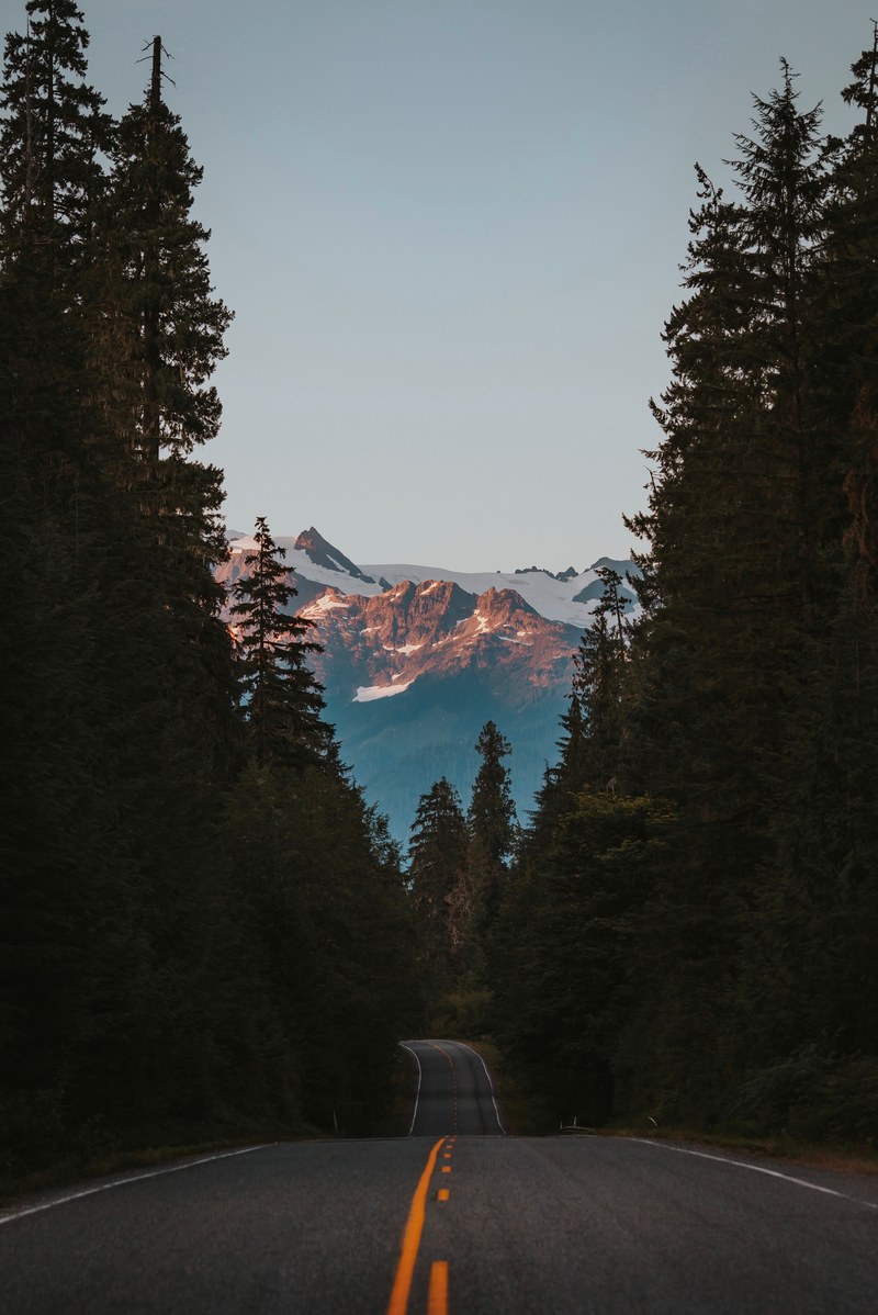 driving through british columbia 4k