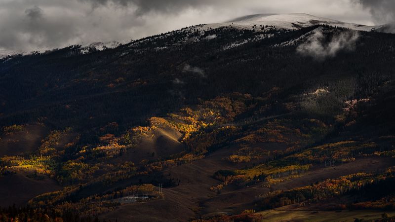 hill, valley, trees, fog, 4k