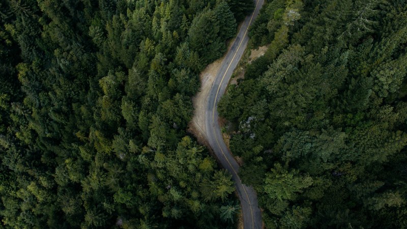 a drone view of a road that cuts through the forest in annapolis california united states, bend in an empty forest road 4k