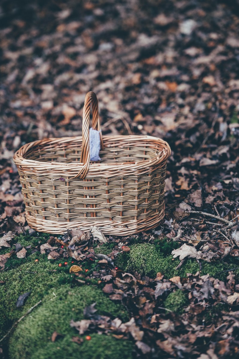 wicker picnic basket sitting on the forest floor, picnic in the woods 4k
