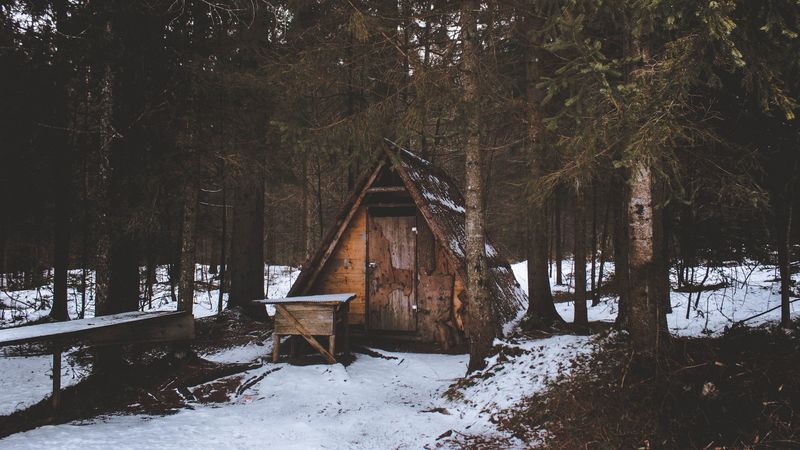 construction, forest, trees, snow, 4k