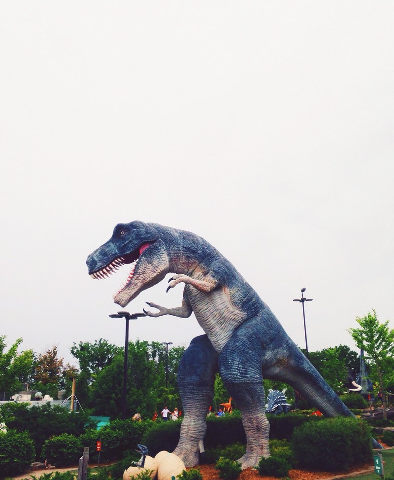 canada niagara fall and dinosaur hd, 4k