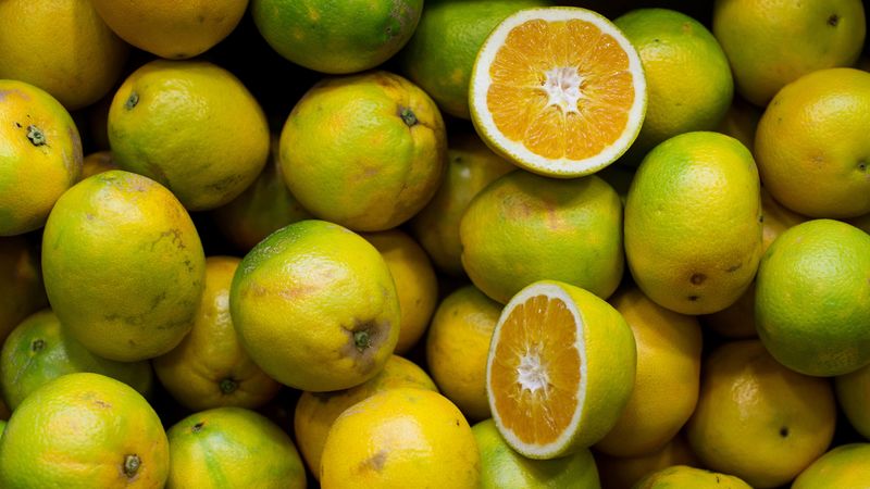 lime, citrus, ripe, 4k