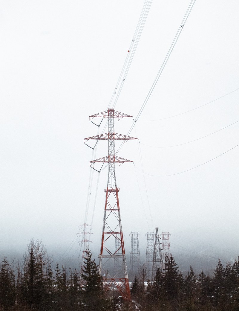 powerlines amid a pine forest on a foggy winter day, the stand out 4k
