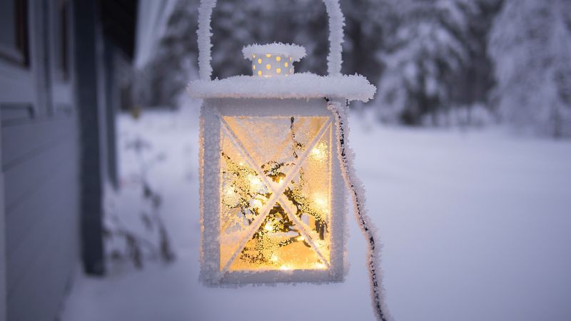 light, frost, snow, 4k