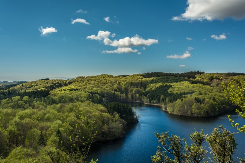 green forests around a river under a blue sky with several clouds, green river banks 4k