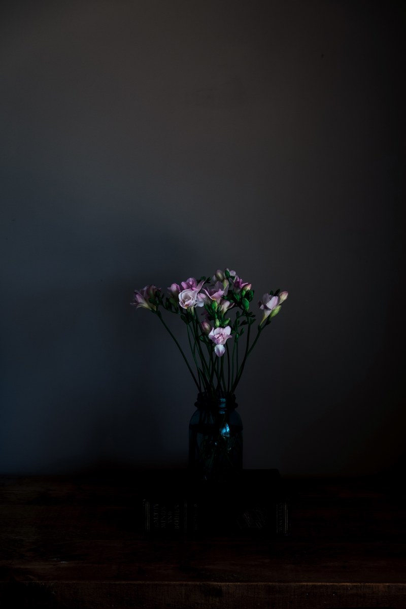 vase flower vase floral and flower hd, 4k