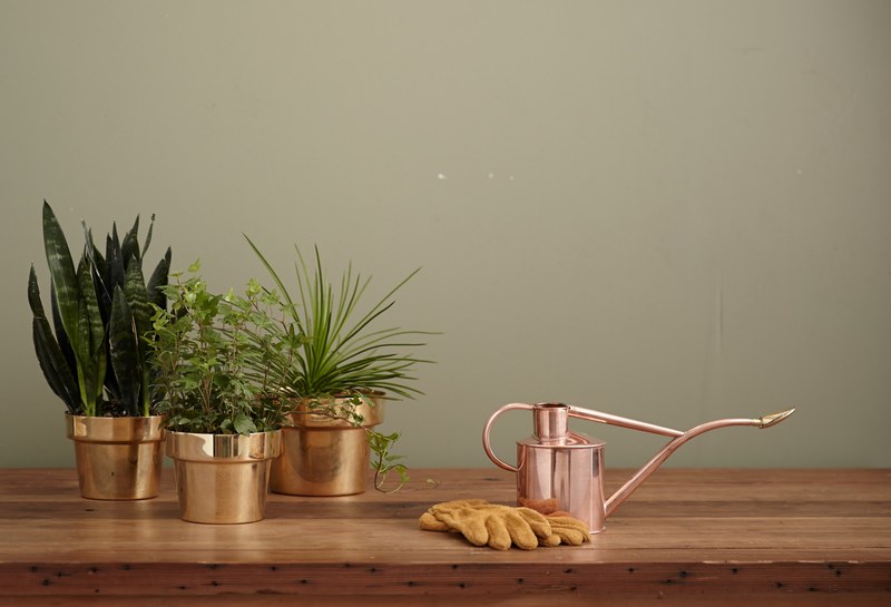 swedish polished brass planter 4k