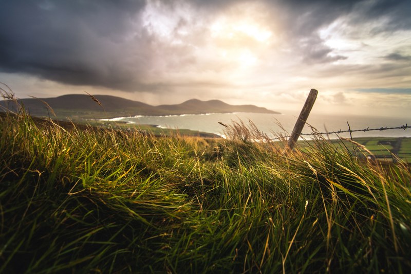 a barbed wire fence covered in green sea grass by a bay in ireland at golden hour, cloudy ireland 4k