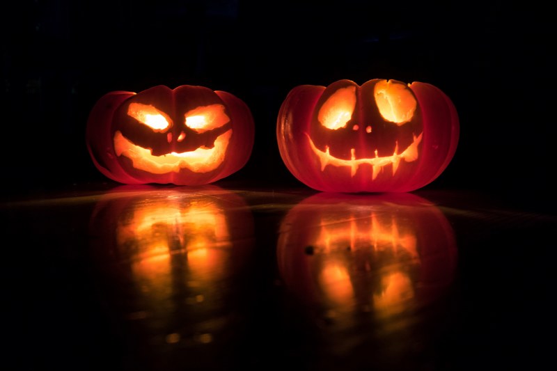 pumpkin twins 4k
