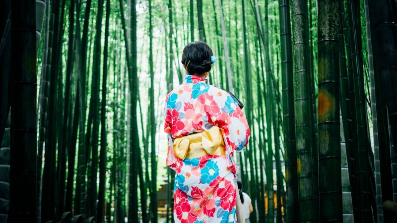 a woman in a colorful floral kimono walking between tall bamboo plants, floral kimono and bamboo 4k