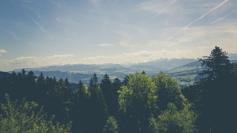 trees, peaks, mountains, 4k
