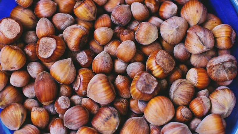 hazelnuts, walnuts, shell, 4k