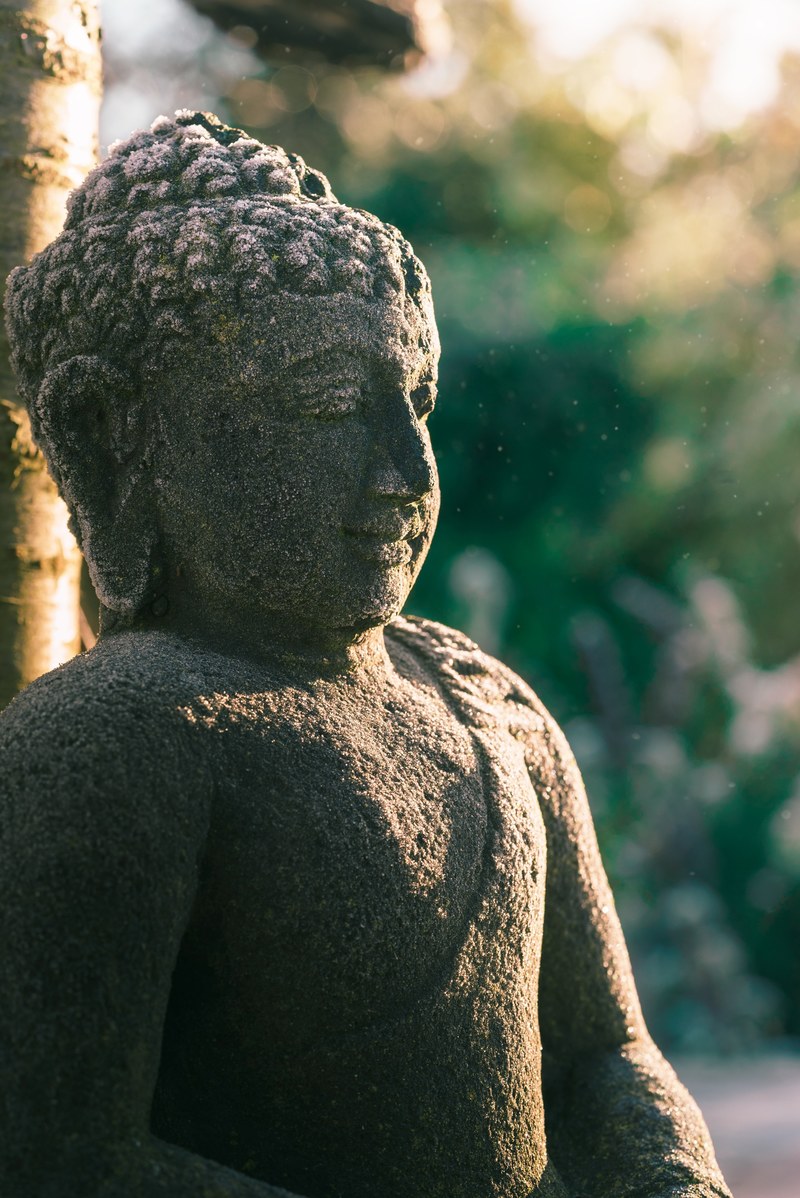 peace of mind 4k