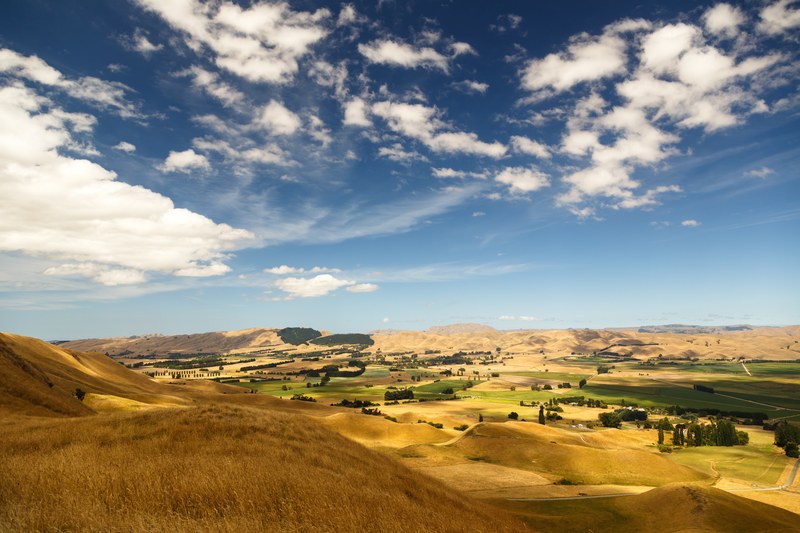 a hilly rural landscape with a patchwork of green and yellow fields under light clouds, golden countryside hills 4k