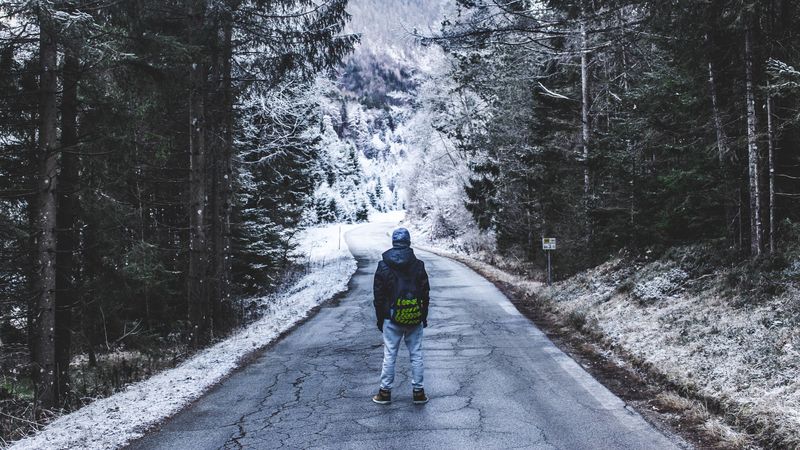 forest, walk, lonely, winter, road, 4k