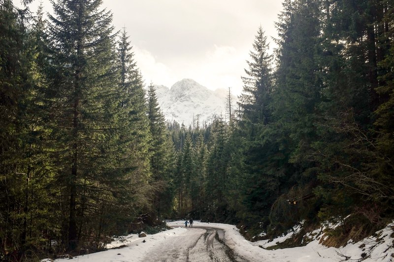 a road in the forest with two people hiking and snow capped mountain in the background, wintery walk through the wilderness 4k