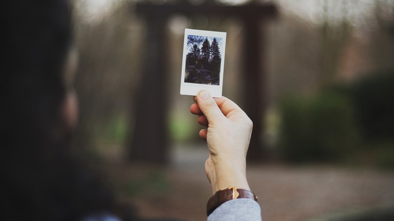 a person wearing a watch holding a polaroid picture of a forest in their hand, polaroid picture 4k
