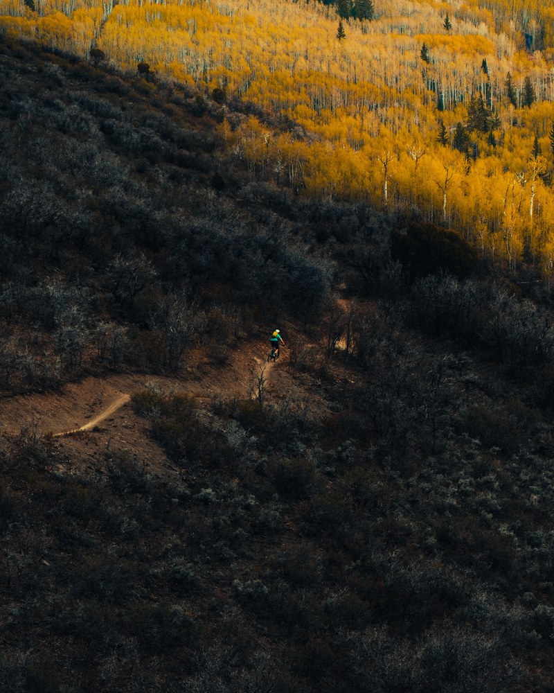 a person riding a bike on a dirt path on an overgrown slope, biking through the wilderness 4k