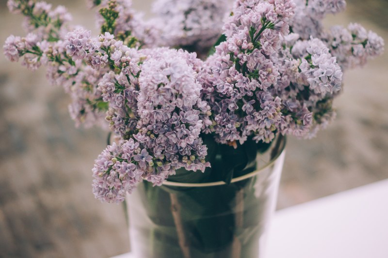 flower lilac vase and purple 4k