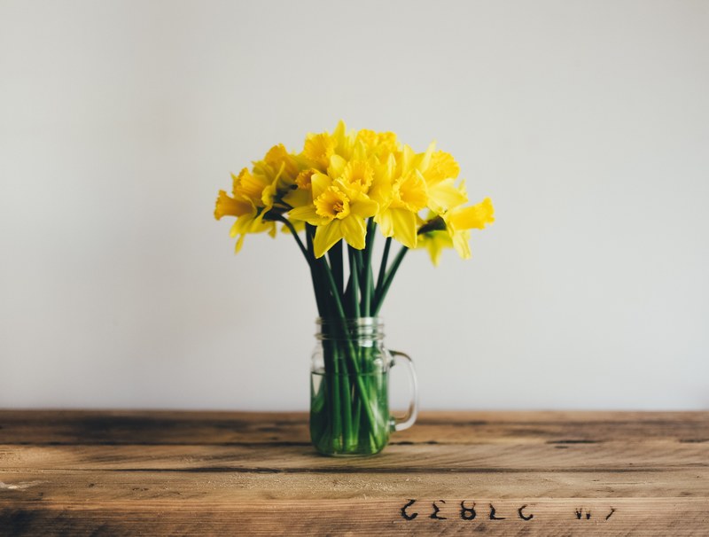 a glass jar with yellow daffodils on a wooden surface, daffodils 4k