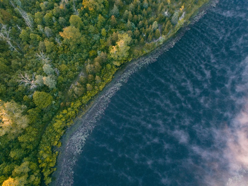 a drone view of the lake shore and forest in flushing michigan united states, cloudy lake from above 4k