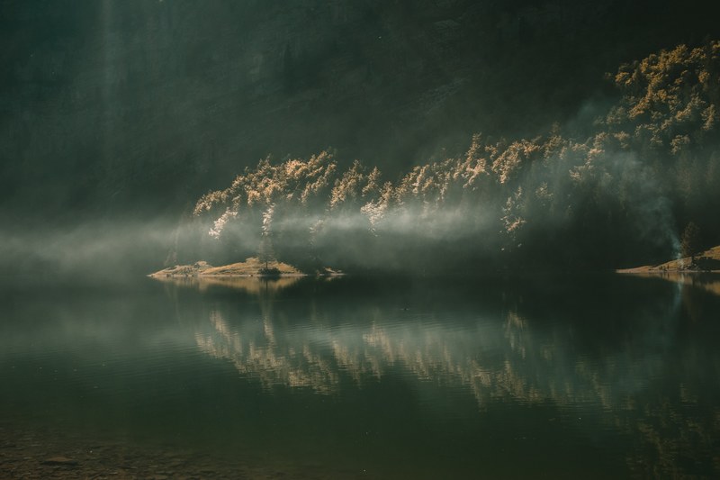 a hazy shot of a small tree lined lake, start a fire 4k