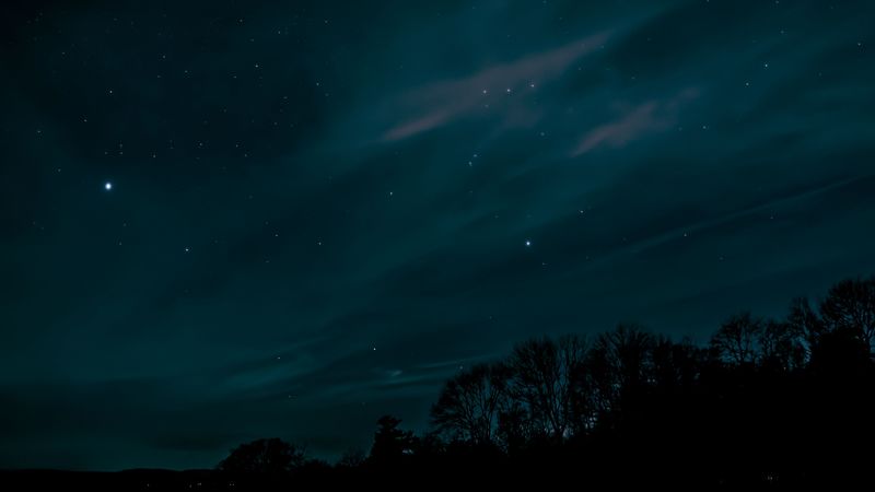 night, sky, stars, trees, 4k