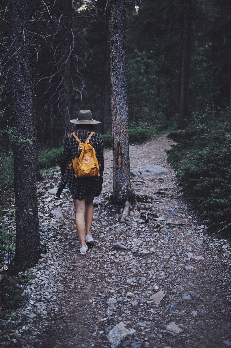 a female backpacker in a hat walking through a rocky path in the forest, hiking on a rocky forest trail 4k