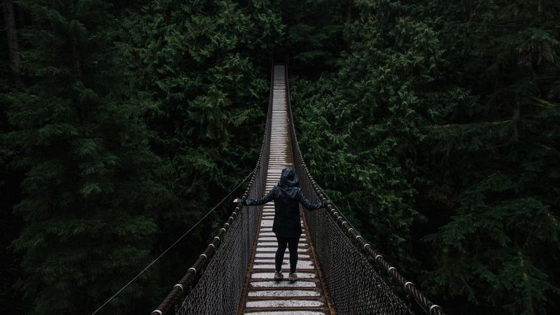 bridge, suspended, trees, people, loneliness, 4k