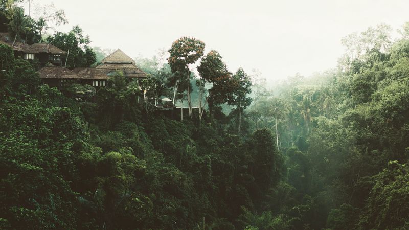 trees, cliff, building, 4k