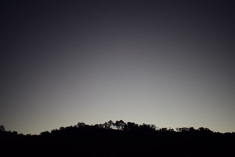 a long line of trees silhouetted against the pale night sky, da janela de casa 4k