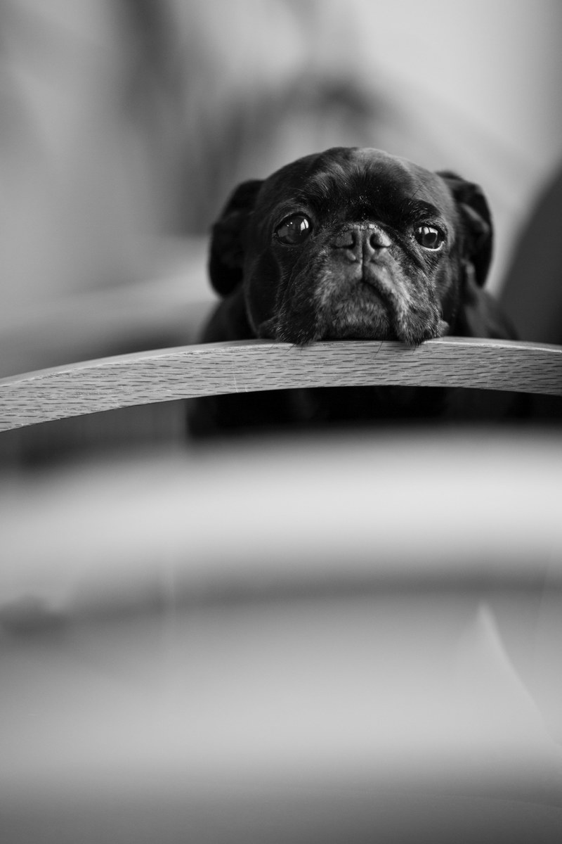 patience in the waiting room 4k